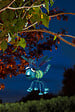 SMARTSOLAR - Lot de 3 insectes décoratifs phosphorescents métal plastique - vignette