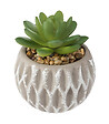 ATMOSPHERA - Plante artificielle Succulente en pot D 8 x H 9 cm - vignette