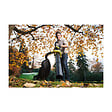 RYOBI - Collecteur de feuilles universel RYOBI pour souffleurs apiro-broyeurs RAC365 - vignette
