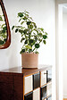 DEROMA - Cilindro Luna 15cm - vignette
