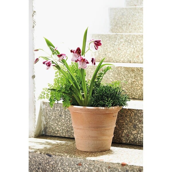 DEROMA - Vaso Siena Toscana 23cm - Terre cuite - Diam.23.9xH.19cm - large