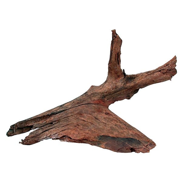 ZOLUX - Racine mangrove medium 25-40cm - large