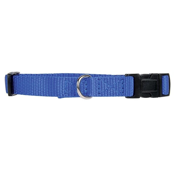 ZOLUX - Collier chien nylon Bleu 25-35cm - large