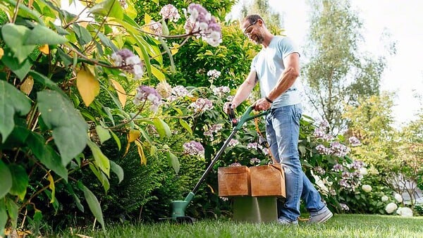 BOSCH - Coupe-bordures électrique filaire - EasyGrassCut 23 - 280 W - large
