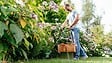 BOSCH - Coupe-bordures électrique filaire - EasyGrassCut 23 - 280 W - vignette