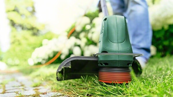 BOSCH - Coupe-bordures électrique - EasyGrassCut 26 - 280 W - large