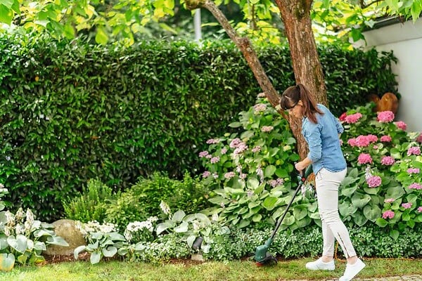 BOSCH - Coupe-bordures électrique - EasyGrassCut 26 - 280 W - large