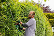 BOSCH - Taille-haies AdvancedHedgeCut 65 - vignette