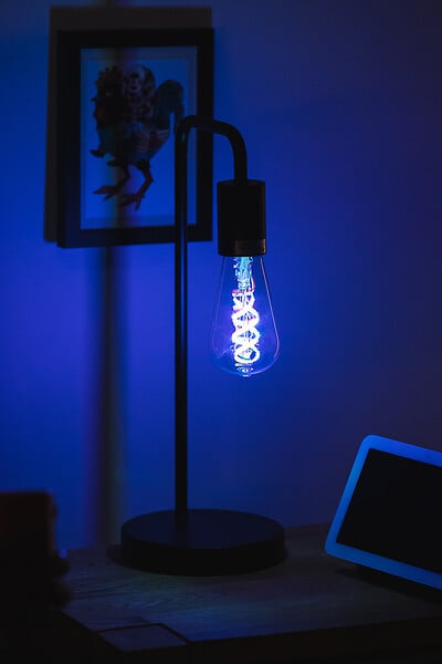LEDVANCE - Ampoule LED filament E27 Edison - Verre - Blanc chaud 4.5W - large