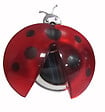 GALIX - Coccinelle solaire clipsable - vignette