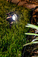 GALIX - Spot solaire plastique - vignette