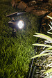 GALIX - Spot solaire à planter - Plastique - 60lm - vignette