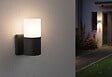 PAULMANN - Applique 230V extérieur Tubs IP44 E27 Métal Gris - vignette