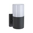 PAULMANN - Applique 230V extérieur Tubs IP44 E27 Métal Gris - vignette