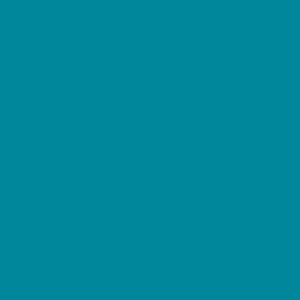 DULUX VALENTINE - Testeur de peinture Acapulco Satin - 30ml - large