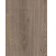 FORESTEA - Marche rénovation d'escalier stratifié louisiana 1300 x 380 x 56 mm - PEFC 70% - vignette