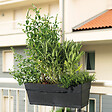DEROMA - Kit Jardinière Save R Anthracite à réserve d'eau 49 cm - vignette