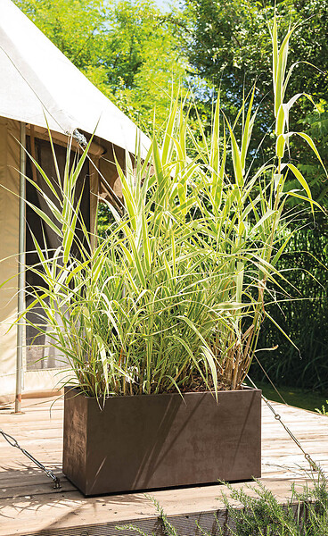 DEROMA - Muret Millennium Brownstone à réserve d'eau 79 cm - large