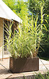 DEROMA - Muret Millennium Brownstone à réserve d'eau 79 cm - vignette