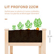 OUTSUNNY - Jardinière sur pieds potager dim. 122L x 56l x 76H cm inserts d'irrigation + feutre de drainage inclus bois massif sapin - vignette