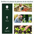 OUTSUNNY - Serre de jardin tunnel serre à  tomates dim. 2L x 1l x 0,8H m 2 portes zippées bâche PVC transparent acier époxy vert - vignette