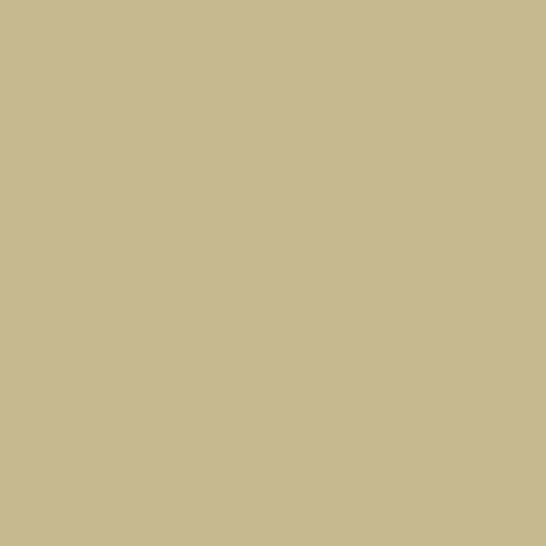 DULUX VALENTINE - Peinture Crème de Couleur - Bambou - Satin - 0,5L - large