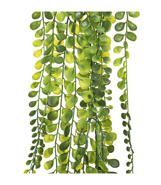 ATMOSPHERA - Plante artificielle tombante  H 75 cm - large
