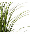 ATMOSPHERA - Plante artificielle Bouquet d'Herbes en pot H 50 cm - vignette