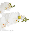 ATMOSPHERA - Plante artificielle Orchidée dans Pot en céramique blanche H 62 cm - vignette