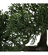 ATMOSPHERA - Bonsaï artificiel en pot en céramique H 34 cm - vignette