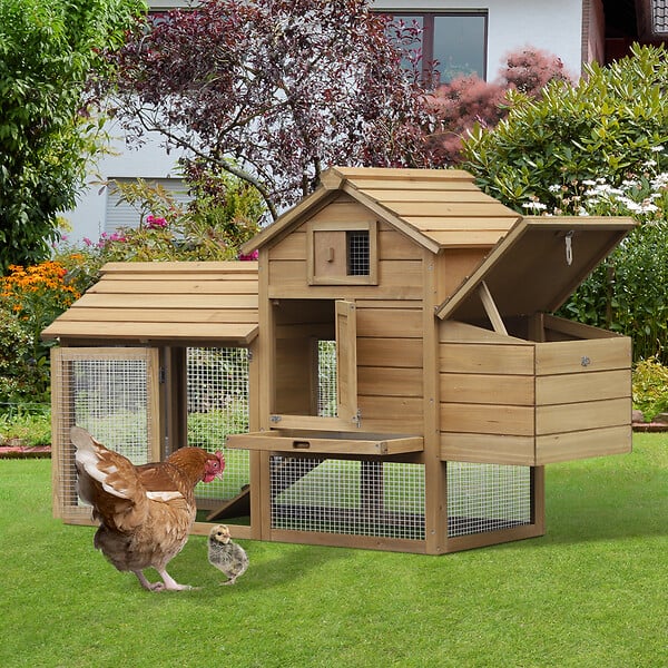 PAWHUT - Poulailler cottage cage à poules sur pied dim. 151L x 54l x 87H cm multi-équipement bois pin - large