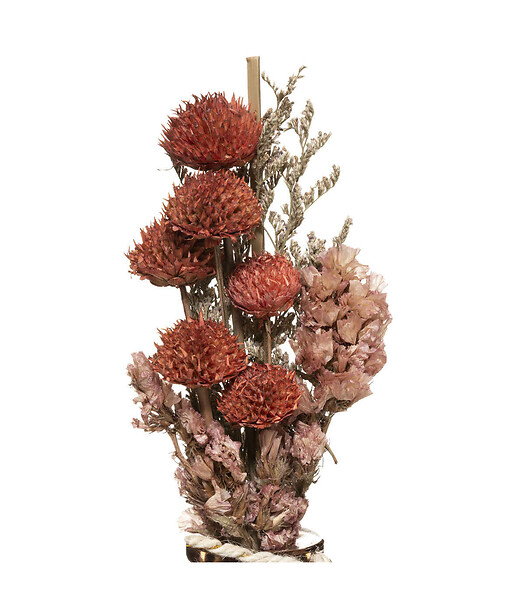 ATMOSPHERA - Composition de Fleurs Séchées Vase en Verre H 28 cm - large