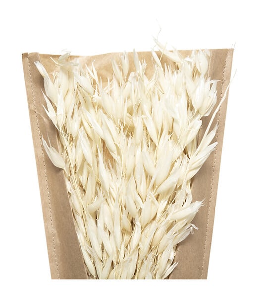 ATMOSPHERA - Bouquet de Tiges et Plantes séchées H 45 cm - large