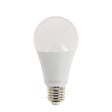 XANLITE - Lot de 2 ampoules LED A60 verre Blanc neutre E27 - vignette