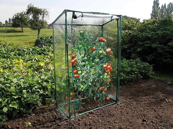 NATURE - Serre à tomates 100 cm - Nature - large