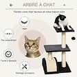 PAWHUT - Arbre à chat griffoir grattoir design jeu boule suspendue 2 plateformes peluche sisal naturel gris - vignette