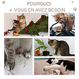 PAWHUT - Arbre à chat griffoir grattoir design jeu boule suspendue 2 plateformes peluche sisal naturel gris - vignette