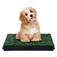 PAWHUT - Litière gazon synthétique chiens toilettes portables à pelouse tiroir à déjection 63L x 51l x 6H cm noir vert - vignette