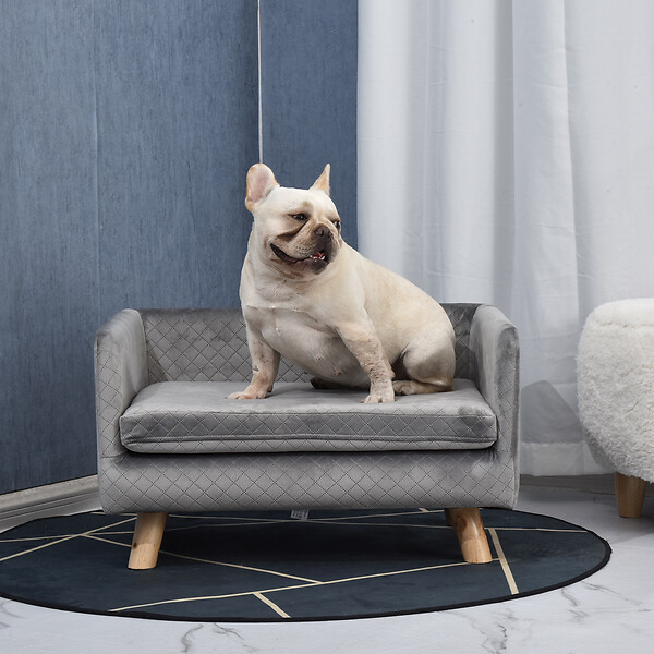 PAWHUT - Canapé chien lit pour chien design scandinave coussin moelleux pieds bois massif dim. 64 x 45 x 36 cm velours gris - large