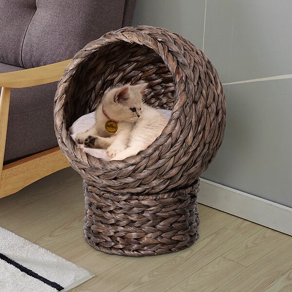 PAWHUT - PawHut Panier chat lit chat cosy grand confort dim. 42L x 33l x 52H cm coloris gris coussin moelleux beige inclus - large