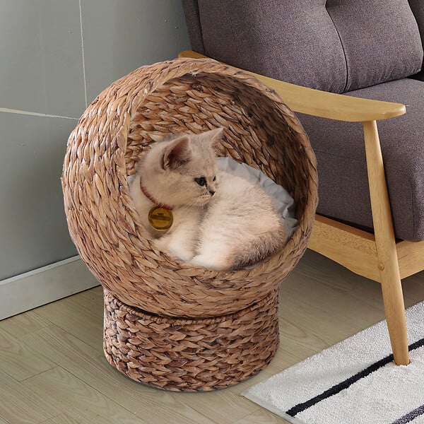 PAWHUT - PawHut Panier chat lit chat cosy grand confort dim. 42L x 33l x 52H cm coussin moelleux beige inclus - large
