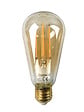 XANLITE - Ampoule LED déco éclairante, culot E27, forme Edison, puissance 7W, équivalent 50W, flux 638 lm, lumière blanc très chaud 1800 K, verre ambré, usage intérieur décoratif - vignette
