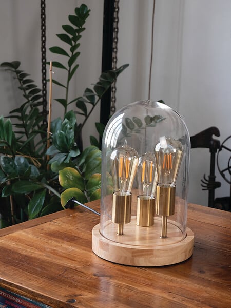 XANLITE - Ampoule LED déco éclairante, culot E27, forme Edison, puissance 7W, équivalent 50W, flux 638 lm, lumière blanc très chaud 1800 K, verre ambré, usage intérieur décoratif - large