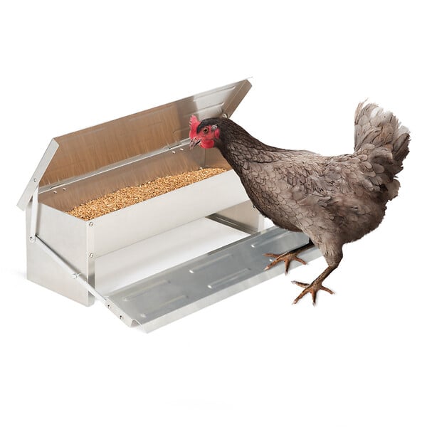 ID MARKET - Mangeoire XL pour poules distributeur automatique à pédale en acier 5 KG - large