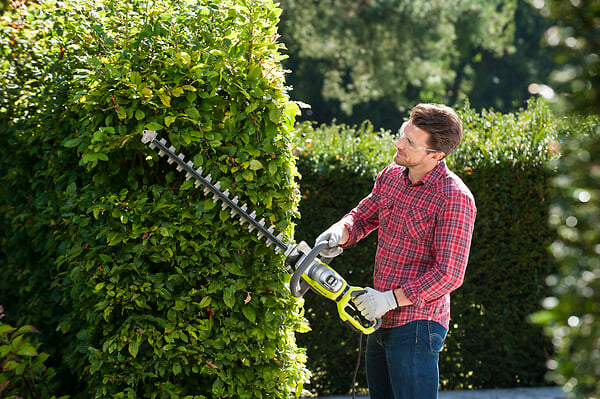 RYOBI - Taille-haies RHT8165RL - 800W - 65cm - large
