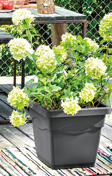 DEROMA - Pot carré Quadro Day R - Anthracite - 32cm - large