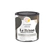MAISON DECO - Maison deco - le beton bouche-pores transl 0l5 - vignette