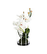 ATMOSPHERA - Composition florale d'Orchidées artificielles Vase en Verre D. 18 x H. 35 cm - vignette