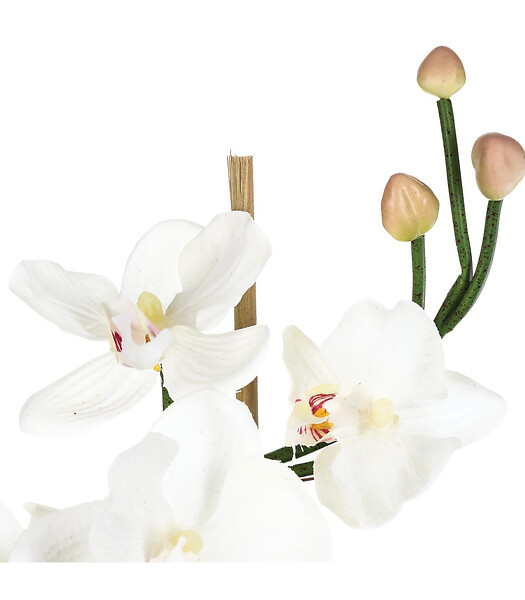 ATMOSPHERA - Composition florale d'Orchidées artificielles Vase en Verre D. 18 x H. 35 cm - large