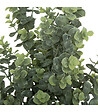 ATMOSPHERA - Bouquet d'Eucalyptus artificiels H 64 cm - vignette
